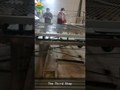 فيديو سياج الأسلاك الشائكة