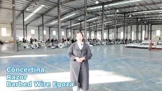 الأسلاك الشائكة كونسرتينا الشائكة Egoza الأسلاك الشائكة الشائكة السياج الأمني