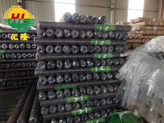 1/2 Inch Hexagonal Chicken Wire Mesh Galvanized
