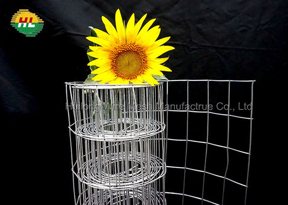 100ft Rectangular Welded Wire Mesh 2x4 inch Galvanized for garden