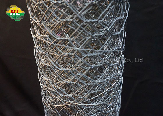 HUILONG 2" Hexagonal Galvanized Poultry Netting For Family Craft Projects