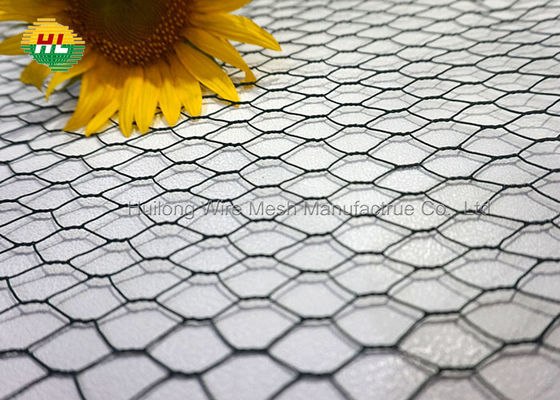 HUILONG 2" Hexagonal Galvanized Poultry Netting For Family Craft Projects