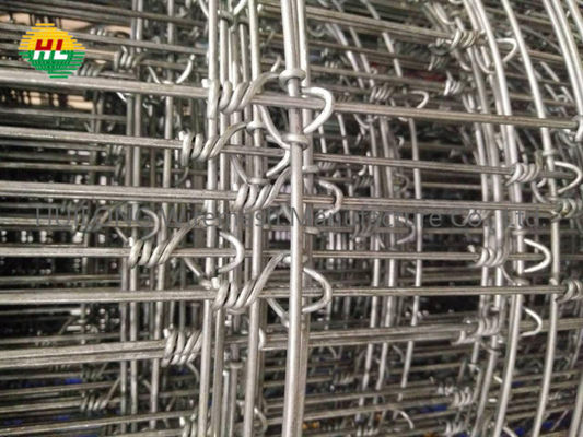 2.4m*50m Hinge Joint Wire Mesh Livestock Fencing With High Tensile Strength